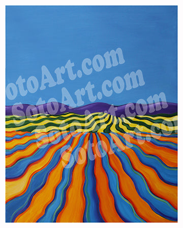 Colorful Fields
