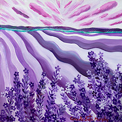 Lavender Field - Pink Sky