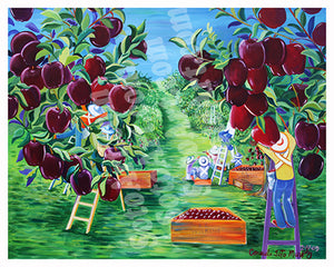 Manzanas
