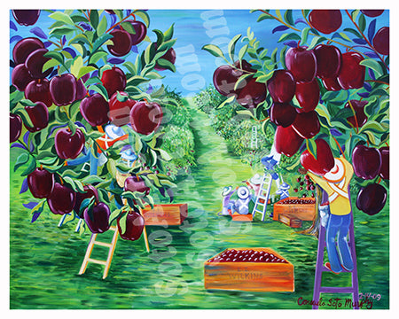 Manzanas